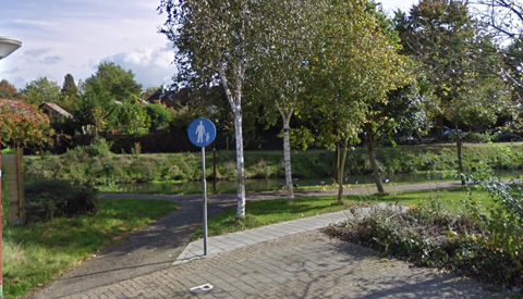 Column Willeke Stadtman: ‘Bukken’