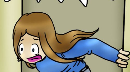 De strip van Kim Houtzager