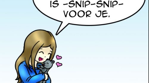 ‘De strip van Kim Houtzager’
