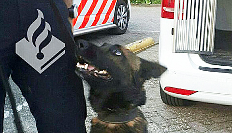 Update: Inval op de Braamsluiper, twee personen geboeid afgevoerd