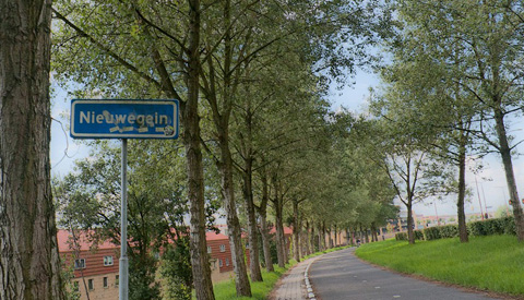 Informatie over de afwegingen. Wanneer beschermen we bomen?