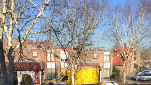 Burgemeester sluit drugswoning aan de Braamsluiper