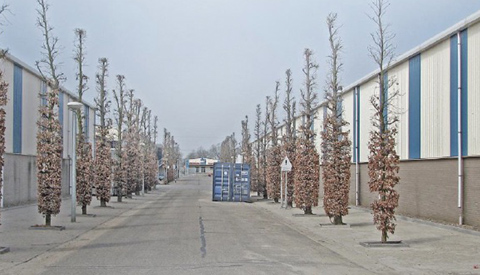 Expositie ‘Tandje erbij’