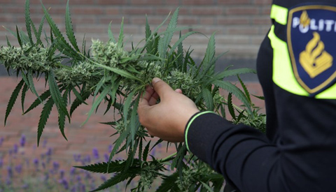 Burgemeester sluit pand aan de Utrechthaven voor zes maanden