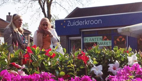 Plantenmarkt Jenaplanschool De Zuiderkroon