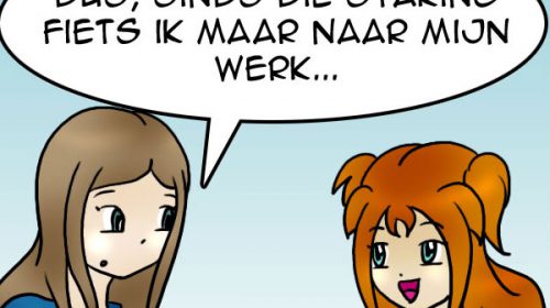 ‘De strip van Kim Houtzager’