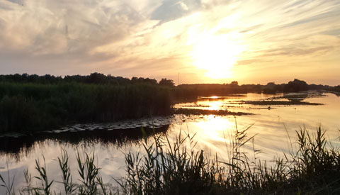 IVN Avondexcursie: Vogels in de  Zouweboezem