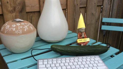 Het einde van de komkommertijd