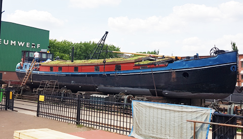 Fris groen boven grijs beton bij Museumwerf Vreeswijk