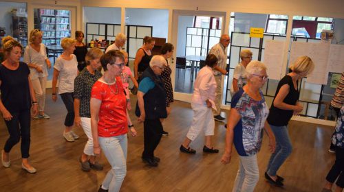 AHN Zomerfestival met een verrassingsactiviteit