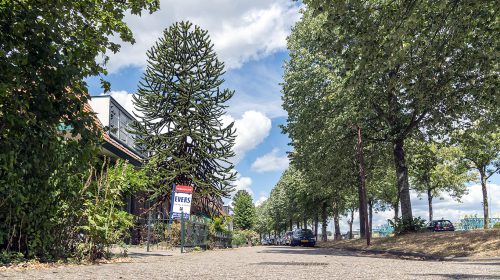 ‘De Jutphasestraatweg’