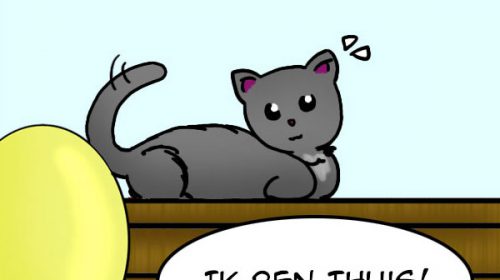 ‘De strip van Kim Houtzager’