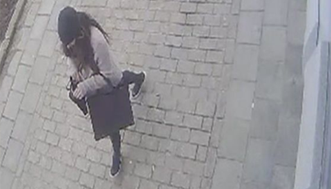 Video: Zakkenrolster gezocht