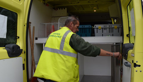 Dierenhulpverlening in o.a. Nieuwegein trekt aan de bel