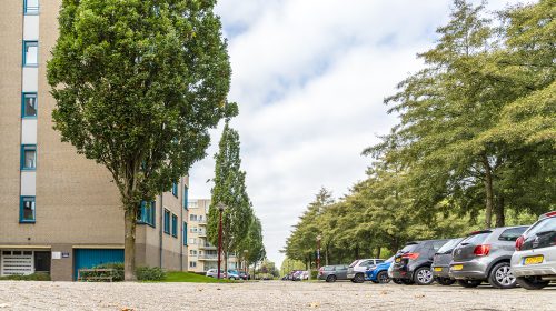 ‘De Kafmolenweide’