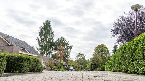 ‘De Kameraarsweide’