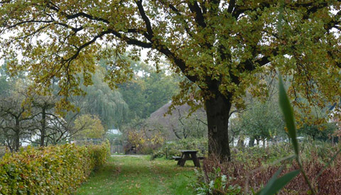 ‘IVN wandeling Langbroekerwetering’