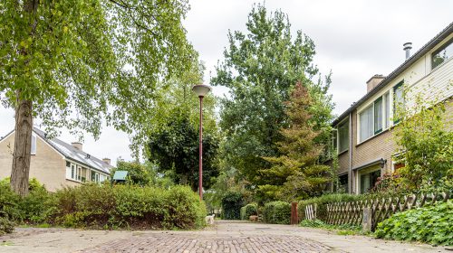 ‘De Kamperfoelie’