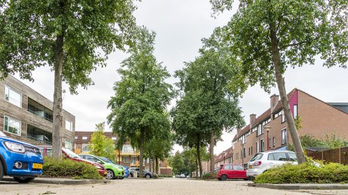 ‘De Kamperveste’