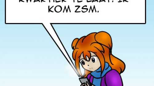 ‘De strip van Kim Houtzager’