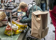 Koningsdag in Nieuwegein, dit zijn de plekken waar je moet zijn én de regels