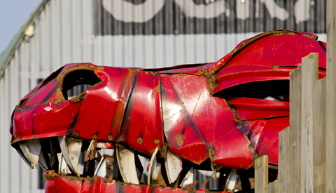 ‘Foto van de week’