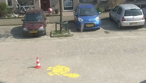 Schildpadden op straat in Fokkesteeg