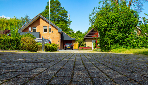 ‘De Kikvorsweide’