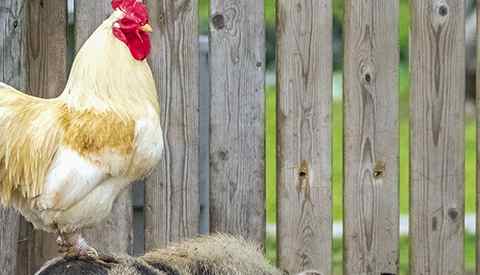 ‘Foto van de week’