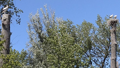 ‘Foto van de week’