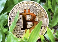 Wat je moet weten over crypto in het dagelijks leven (zelfs als je niet investeert)