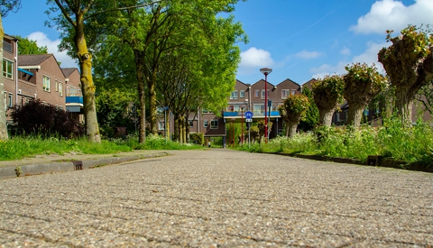 ‘De klarinetlaan’