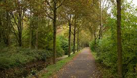 Schennispleger actief in Nieuwegein, extra controles politie