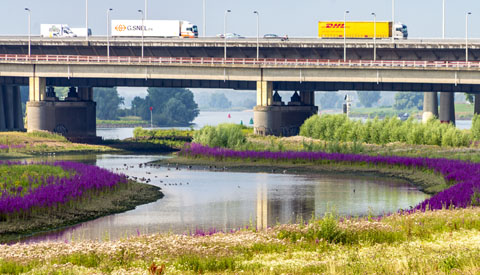 ‘Foto van de week’