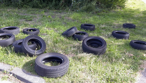 ‘Foto van de week’