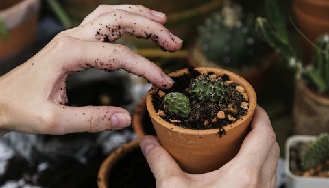 Ruilcafé in het Stadshuis van Nieuwegein