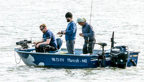 ‘Foto van de week’