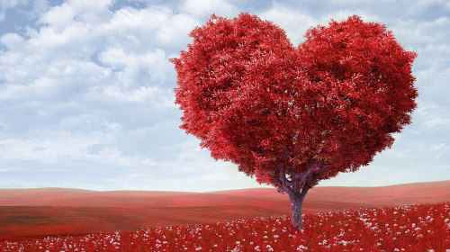 PLUS-café: ‘Pluk je geluk!’