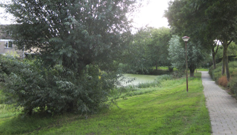 Nieuwe Groenwandeling op 30 juli 2020