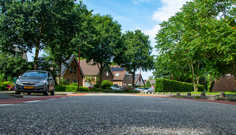 ‘De Koekoekslaan’