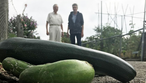 Duimendraaien voor Nieuwegeinse tuinders: kan oogst de prullenbak in?