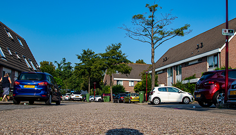 ‘De Kooikersweide’