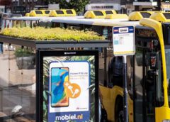 Nieuwegein krijgt bloeiende daken met 50% steun