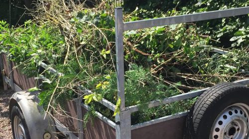 Gemeente en provincie controleren op dumpen tuinafval in de natuur