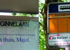 Hoe lokale evenementen in Nieuwegein steeds vaker digitaal worden aangekondigd