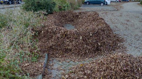 Nieuwegein kleurt weer herfst: laat jouw mooiste foto zien