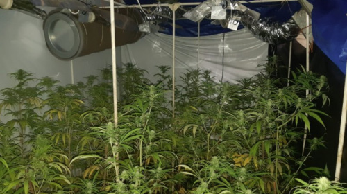 Politie vindt hennepkwekerij onder de Jutphasebrug