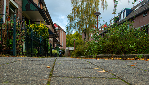 ‘De Koperfazant’