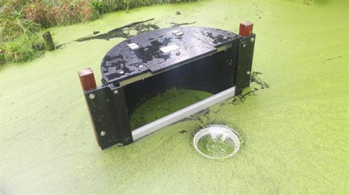 Kroosslurper actief in vijver Naarderveste in Fokkesteeg