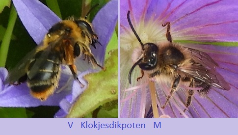 ‘Wat groeit of leeft daar in Nieuwegein’